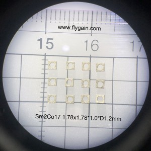 Micro Precision SmCo Ringmagnet för mobil motor